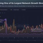 XRP ziet enorme groei in wallets: ‘een van de belangrijkste signalen’