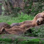 Meeste bitcoin weer op winst wijst op mogelijk einde bearmarkt