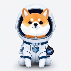 Asteroid Shiba-ASTEROID