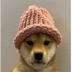 dogwifhat Eth-DOGWIFHAT